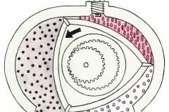Rotationskolbenmotor1