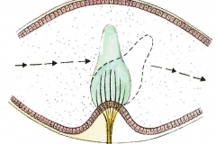 GleichgewichtDrehung