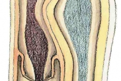 ArterienVenenSpiel