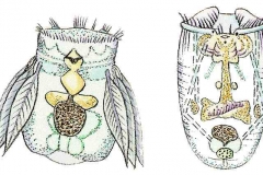 Raedertierchen2