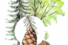 WaldNahrungsbeziehungen
