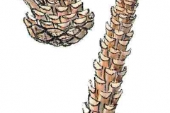 WaldmausFrass